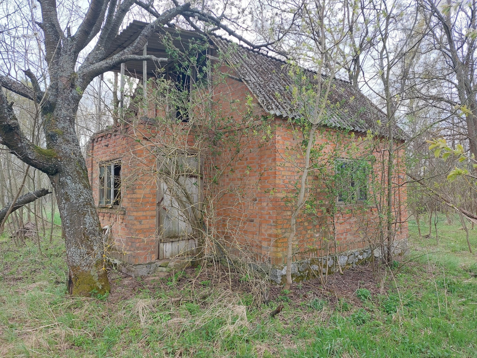 Фотофіксація ділянки, 2026